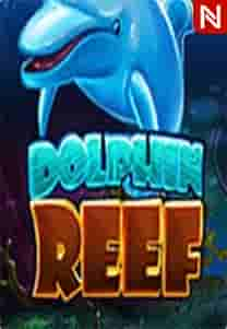 Dolphin Reef